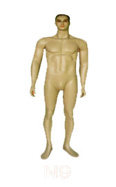 MNA_3