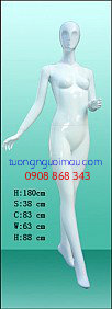 NCC_8