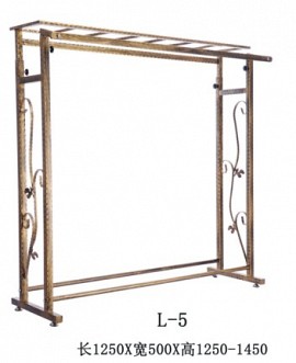 L_5