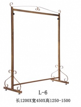 L_6
