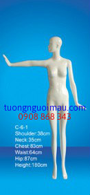 NCC_31